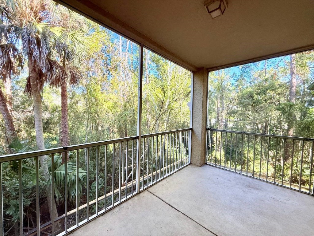 17112 Carrington Park Drive #932 Tampa FL 33647 TB8421718 image26