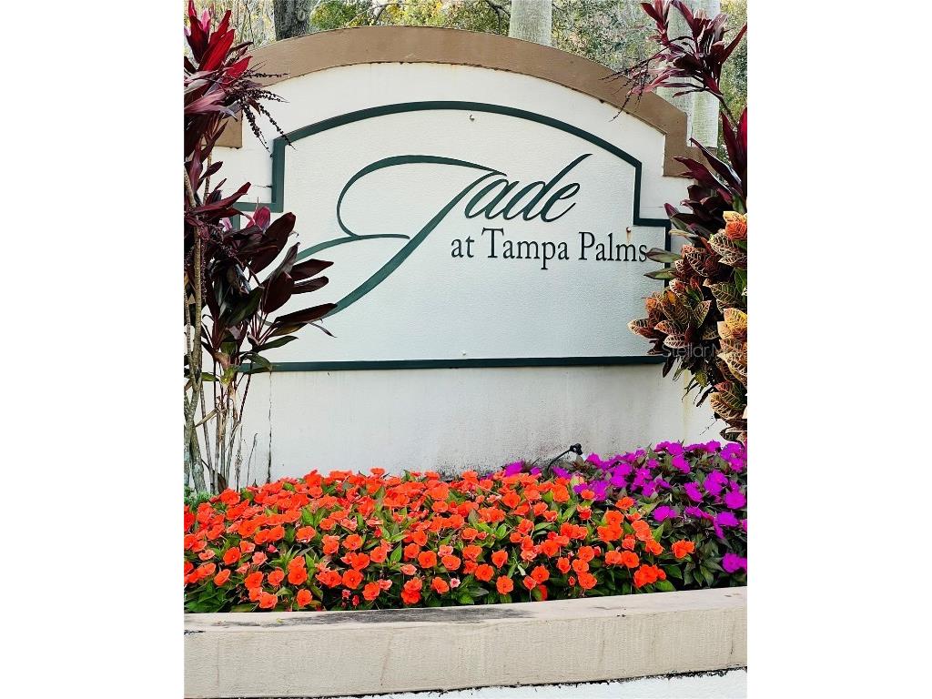 17112 Carrington Park Drive #933 Tampa FL 33647 TB8458148 image1