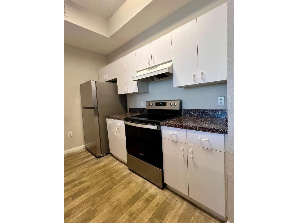 17112 Carrington Park Drive #933 Tampa FL 33647 TB8458148 image11