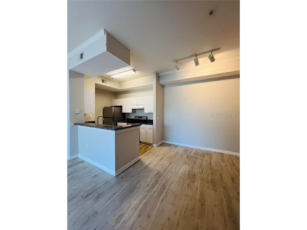 17112 Carrington Park Drive #933 Tampa FL 33647 TB8458148 image12