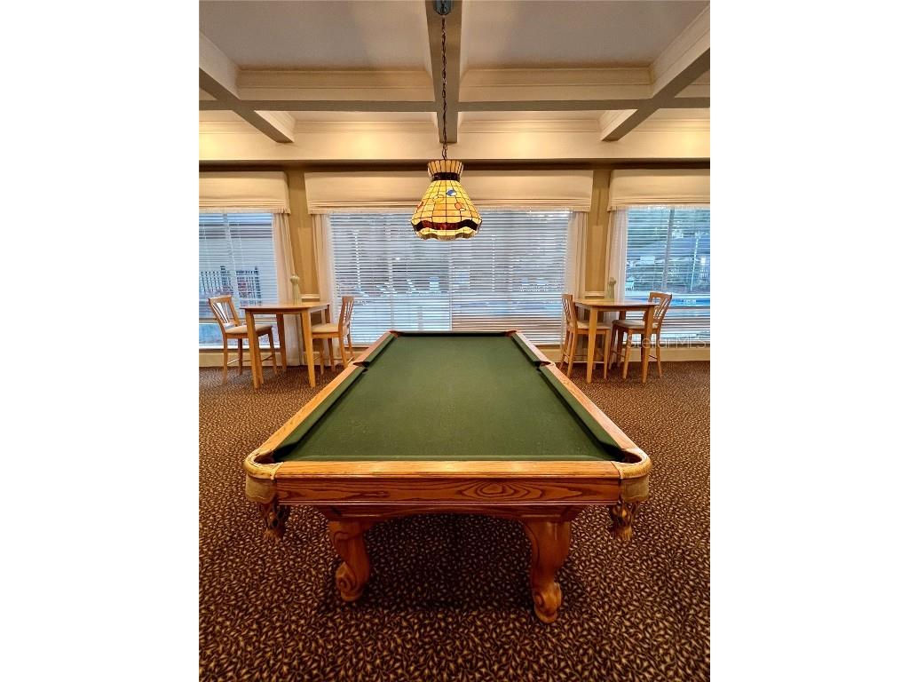 17112 Carrington Park Drive #933 Tampa FL 33647 TB8458148 image5