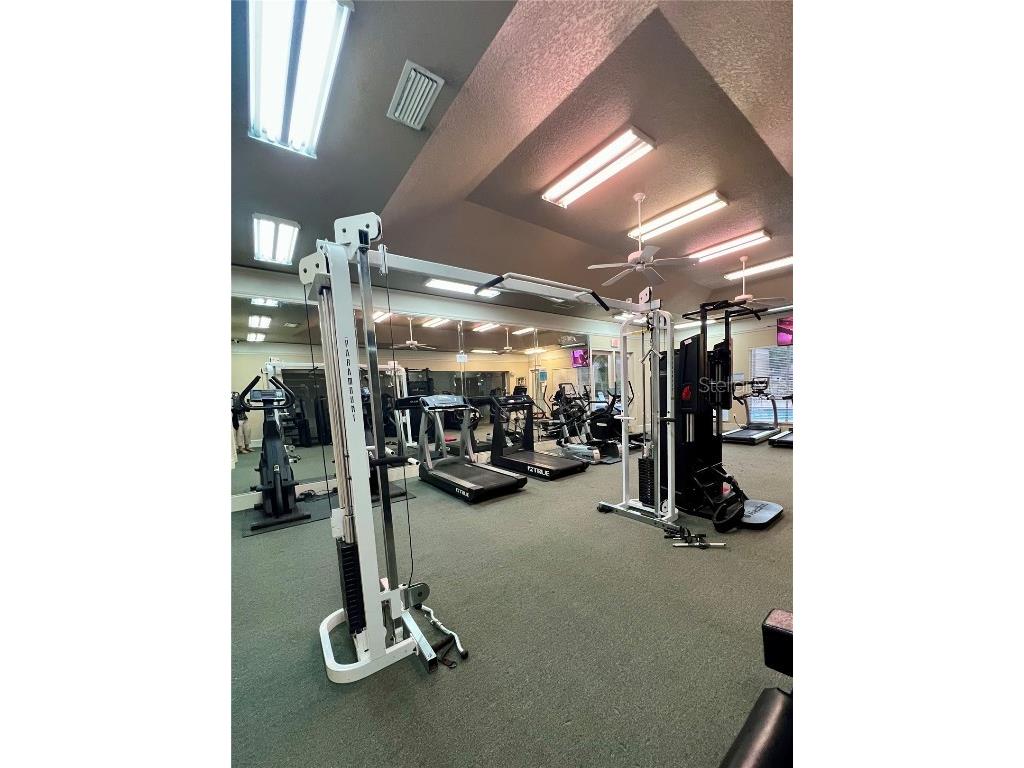 17112 Carrington Park Drive #933 Tampa FL 33647 TB8458148 image6