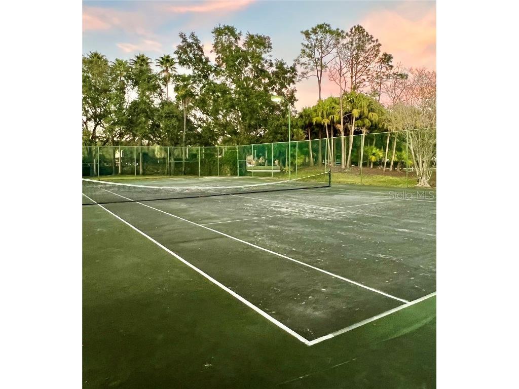 17112 Carrington Park Drive #933 Tampa FL 33647 TB8458148 image9