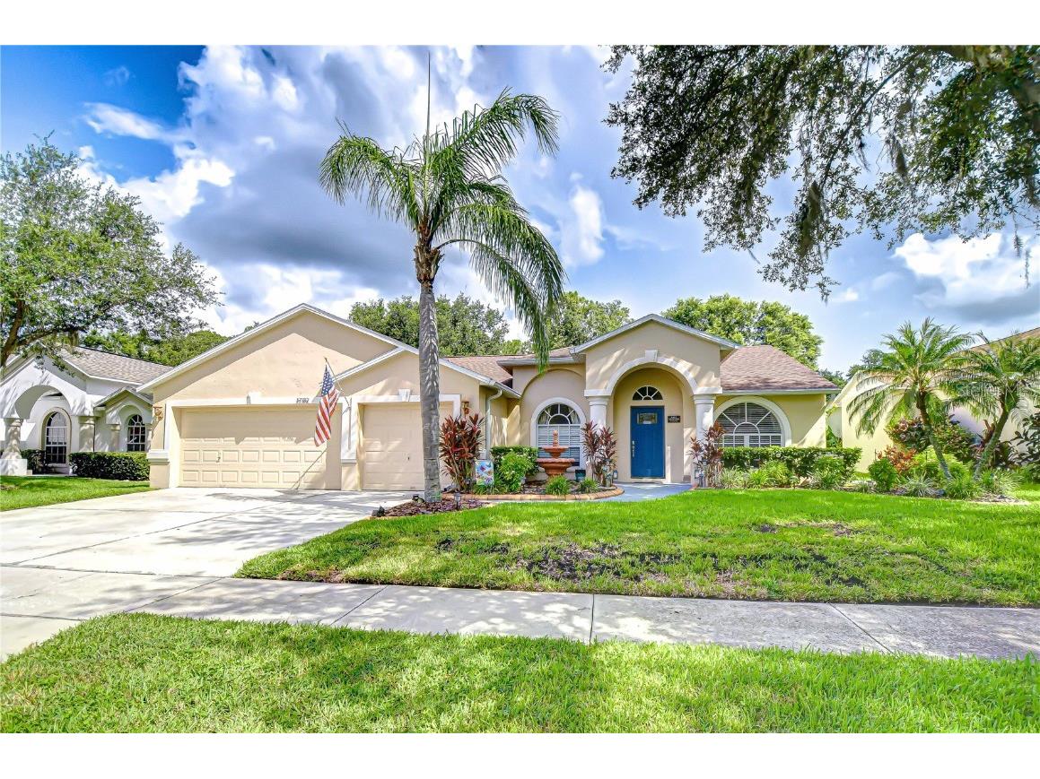 17112 Falconridge Road Lithia FL 33547 TB8410332 image1