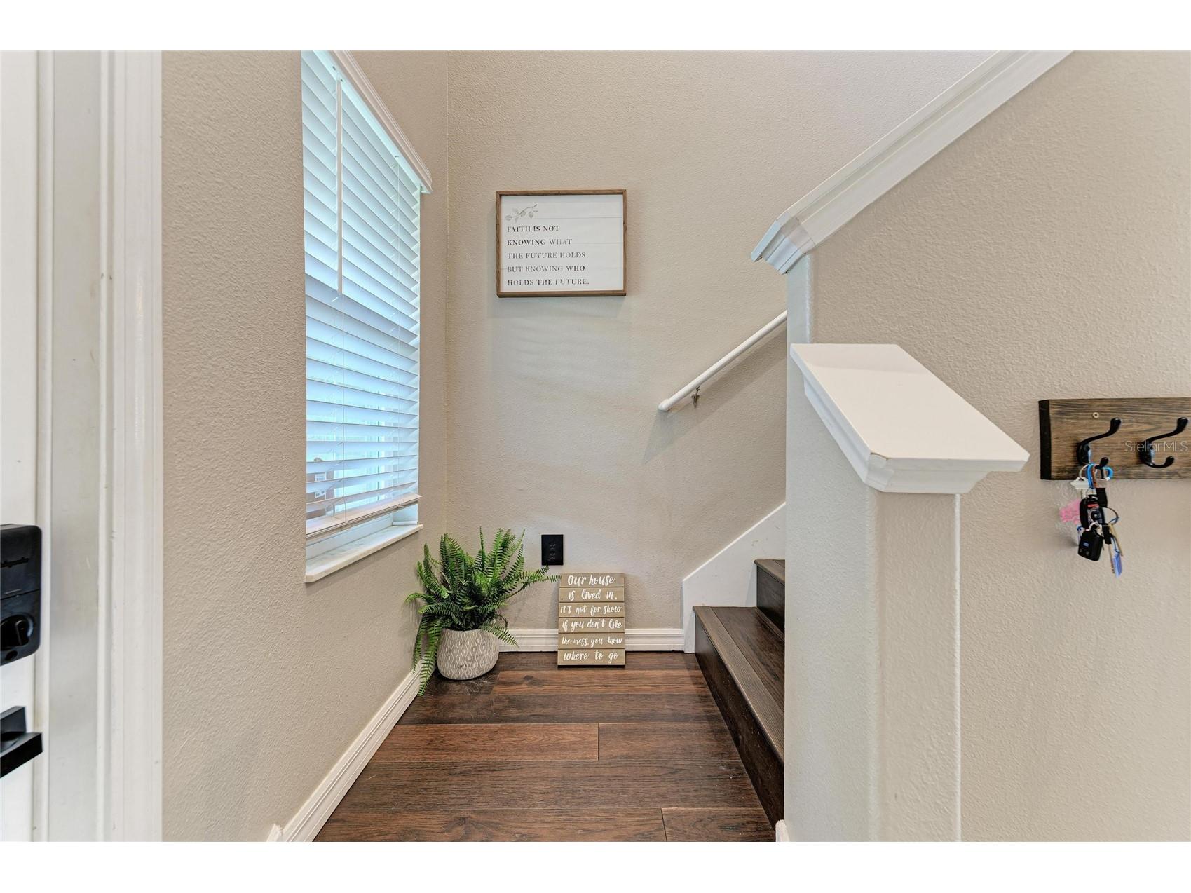 17112 Yellow Pine Street Wimauma FL 33598 A4684737 image22
