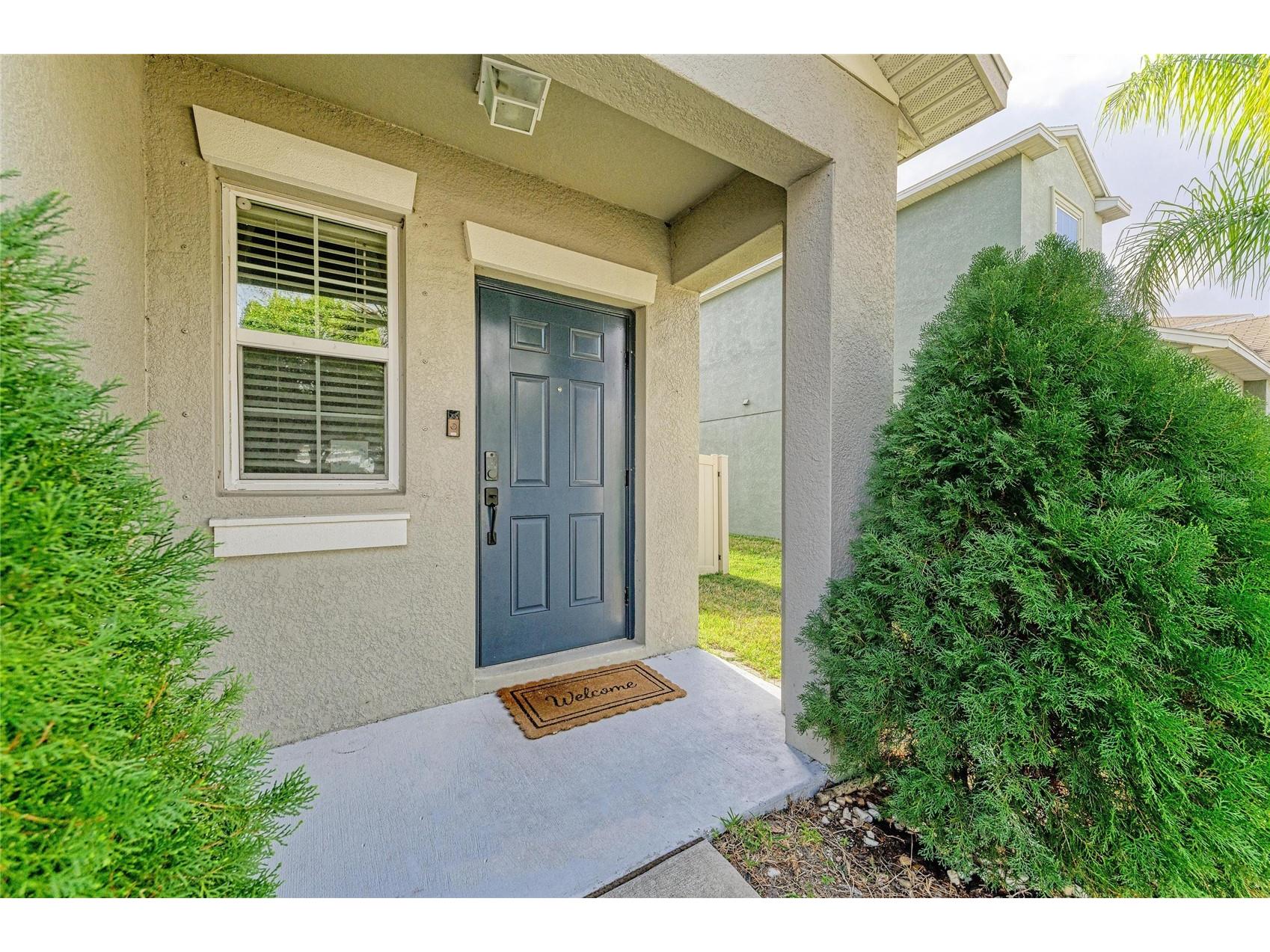 17112 Yellow Pine Street Wimauma FL 33598 A4684737 image5