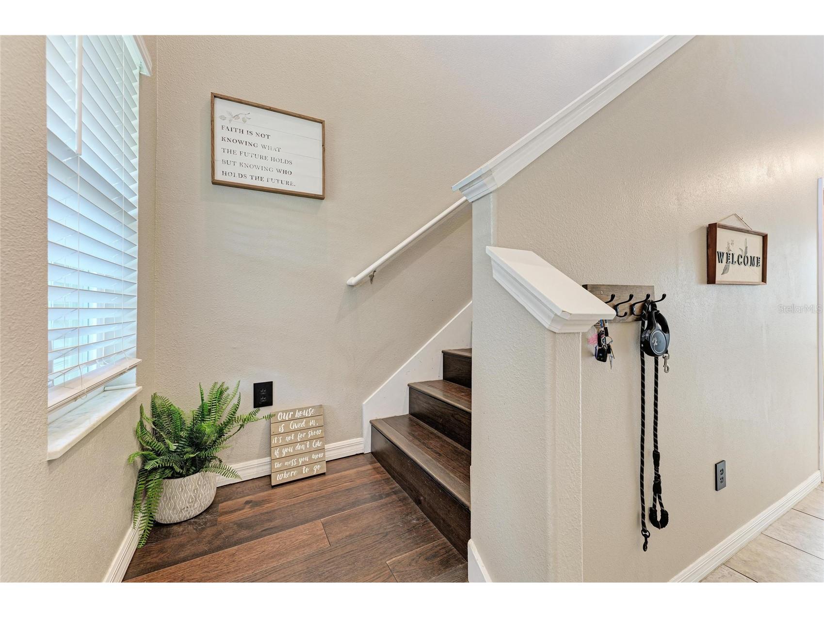 17112 Yellow Pine Street Wimauma FL 33598 A4684737 image6