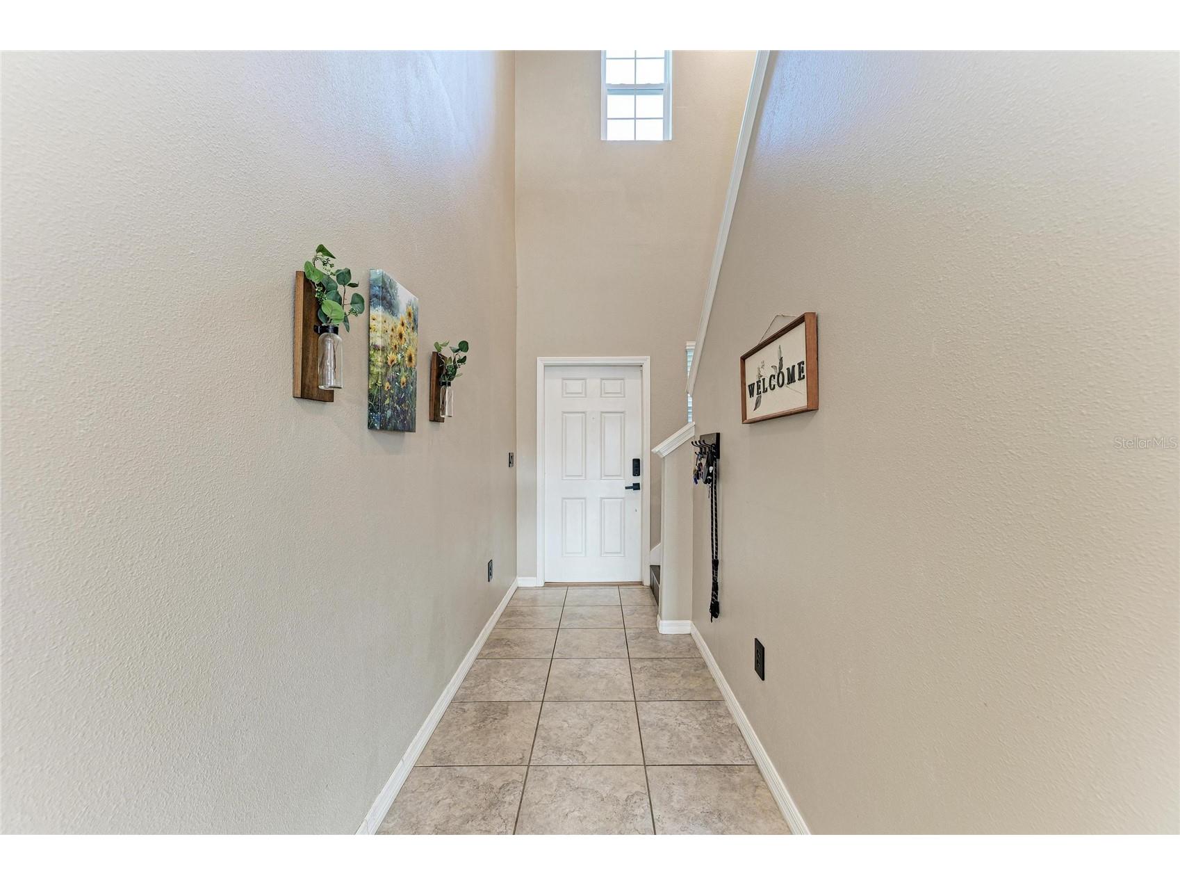 17112 Yellow Pine Street Wimauma FL 33598 A4684737 image7