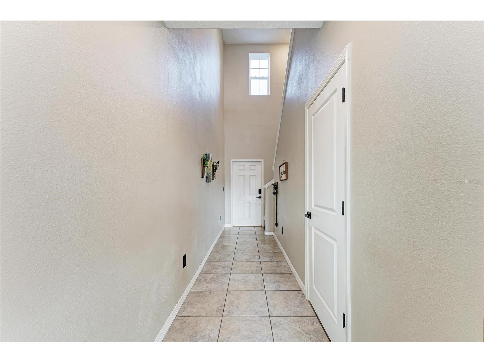 17112 Yellow Pine Street Wimauma FL 33598 A4684737 image8