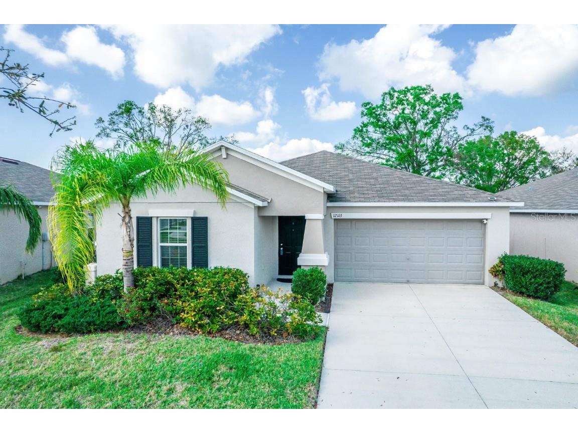 17113 Sunshine Mimosa Street Wimauma FL 33598 TB8360878 image1