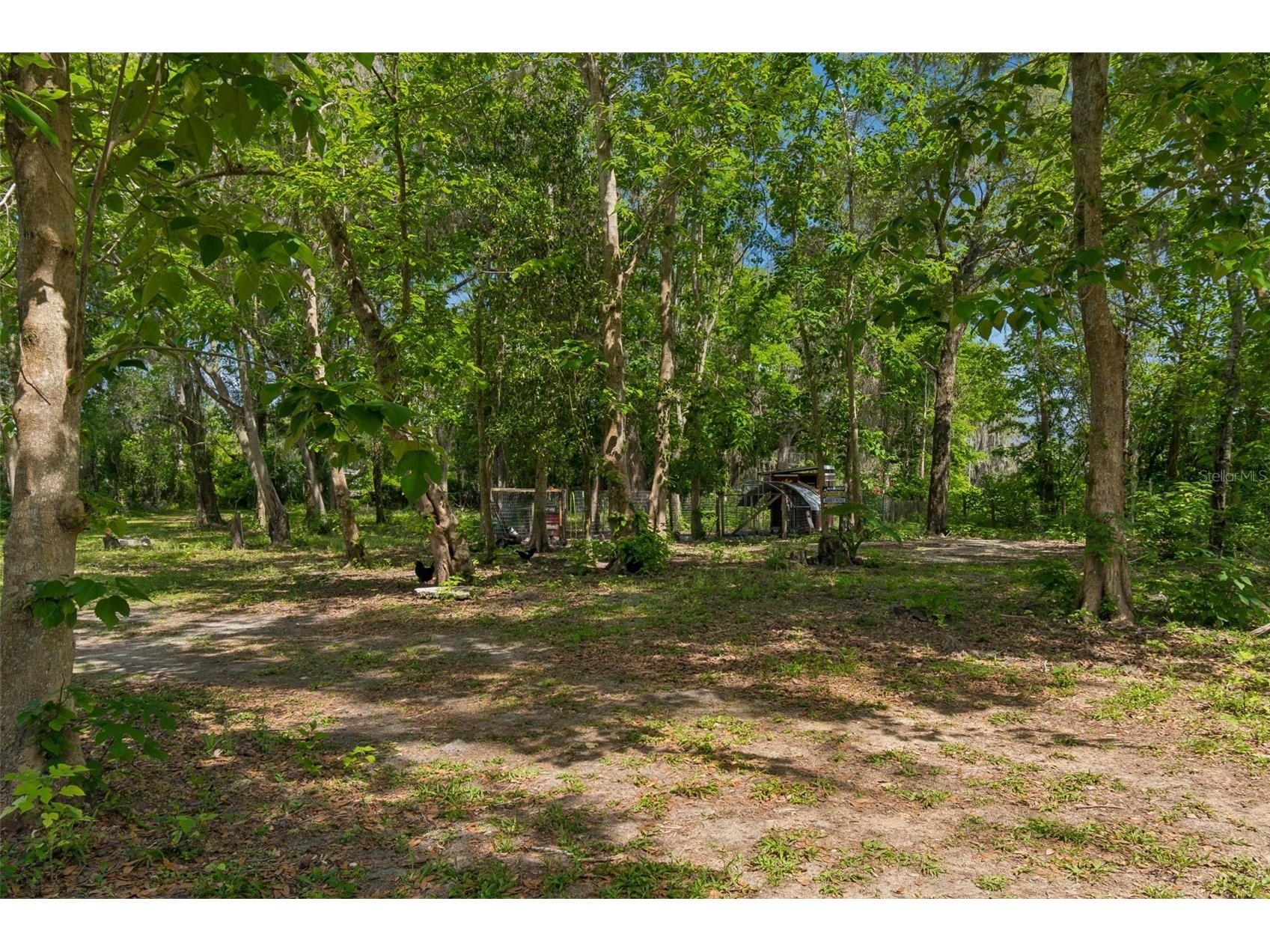 17114 Brittle Road Brooksville FL 34601 TB8497782 image42