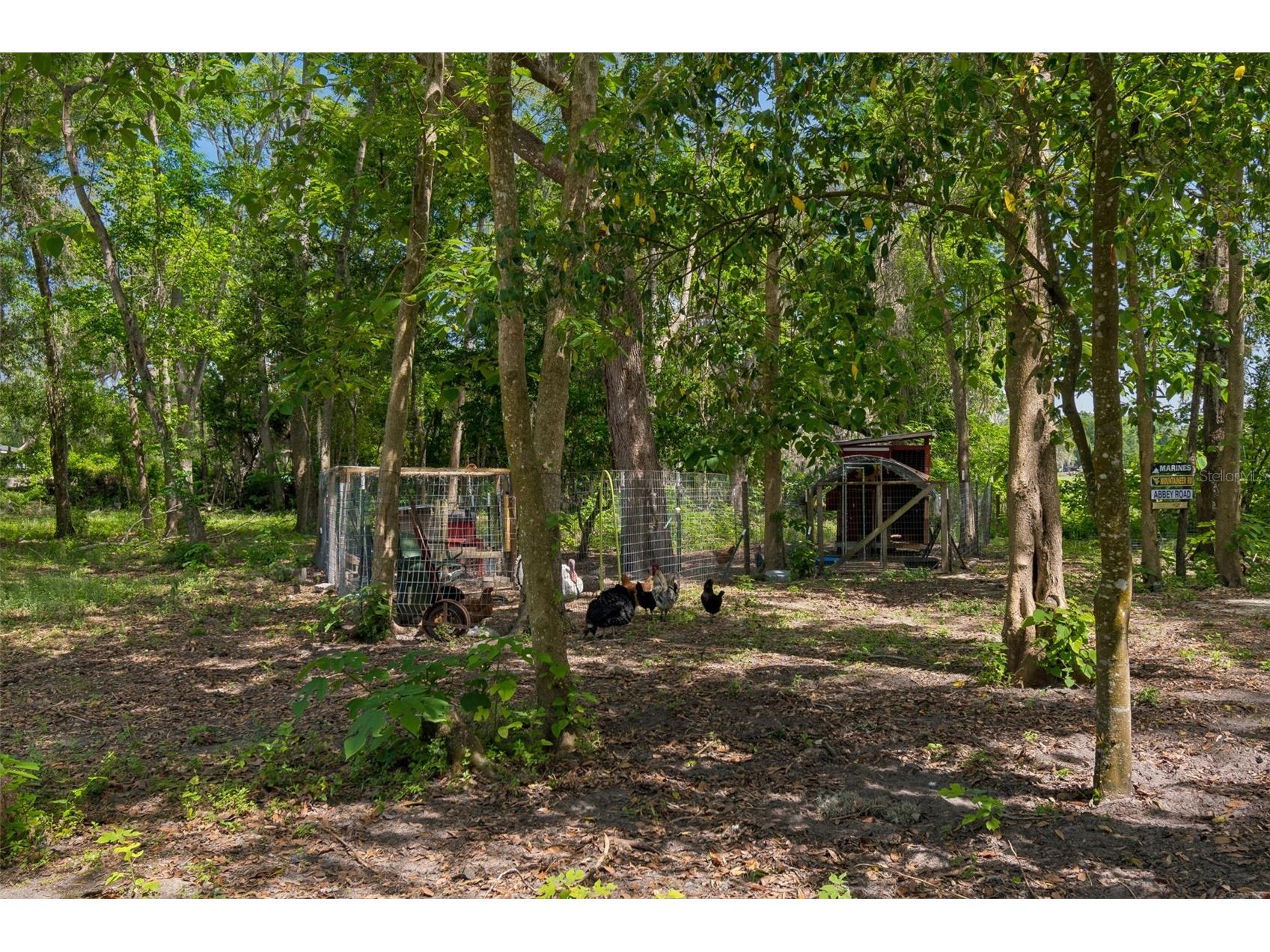 17114 Brittle Road Brooksville FL 34601 TB8497782 image43