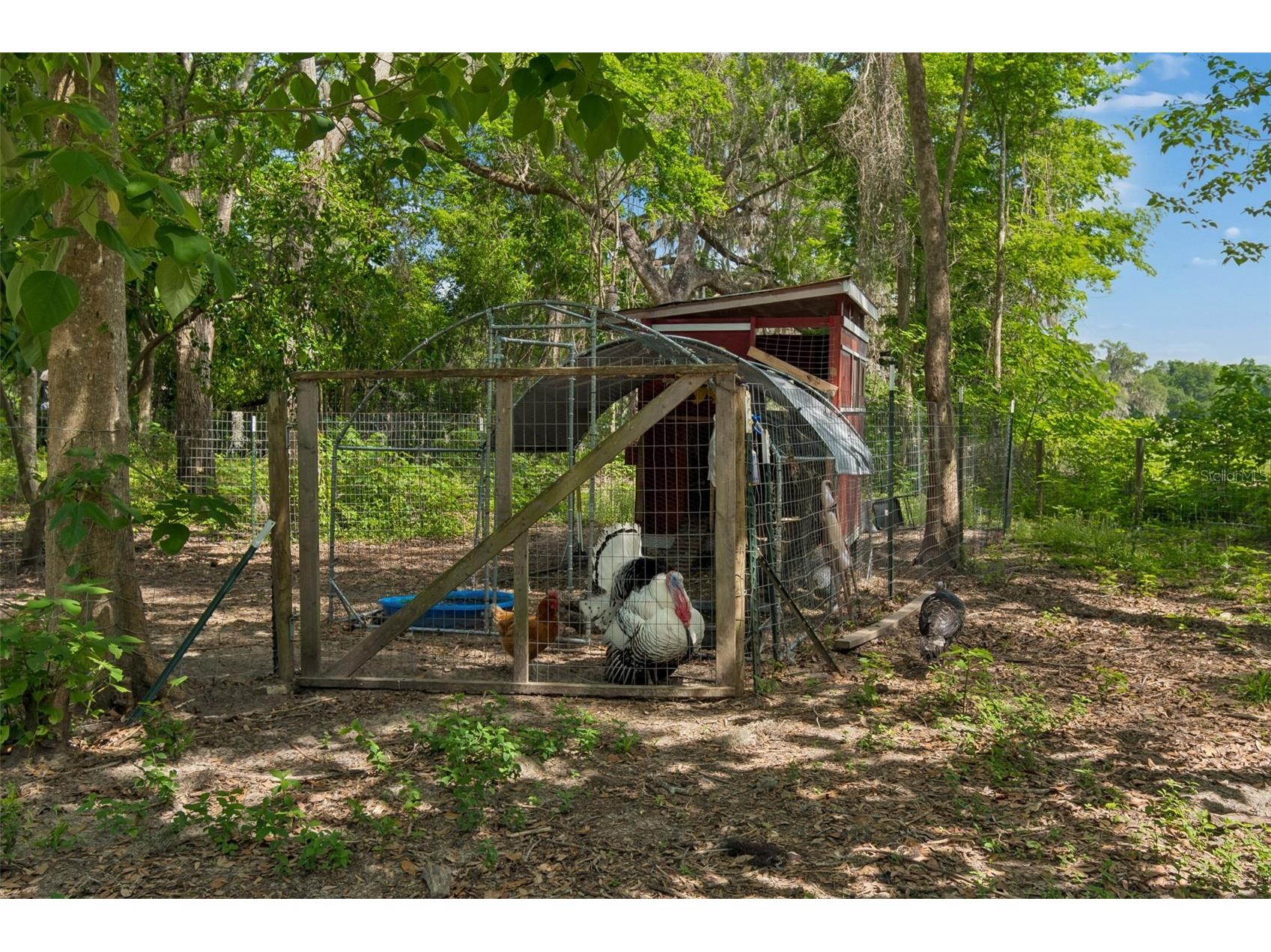 17114 Brittle Road Brooksville FL 34601 TB8497782 image45