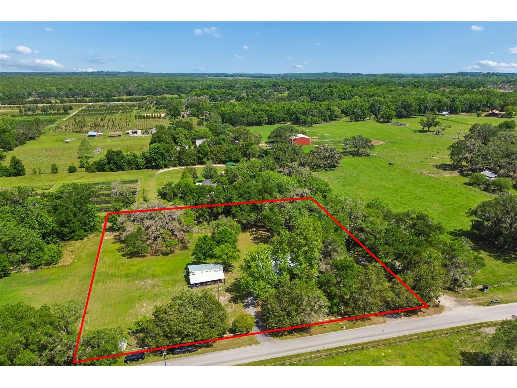 17114 Brittle Road Brooksville FL 34601 TB8497782 image49