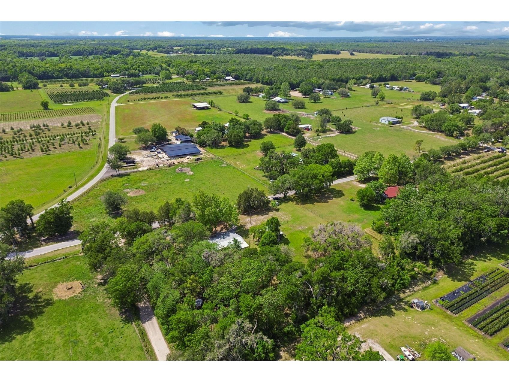 17114 Brittle Road Brooksville FL 34601 TB8497782 image50