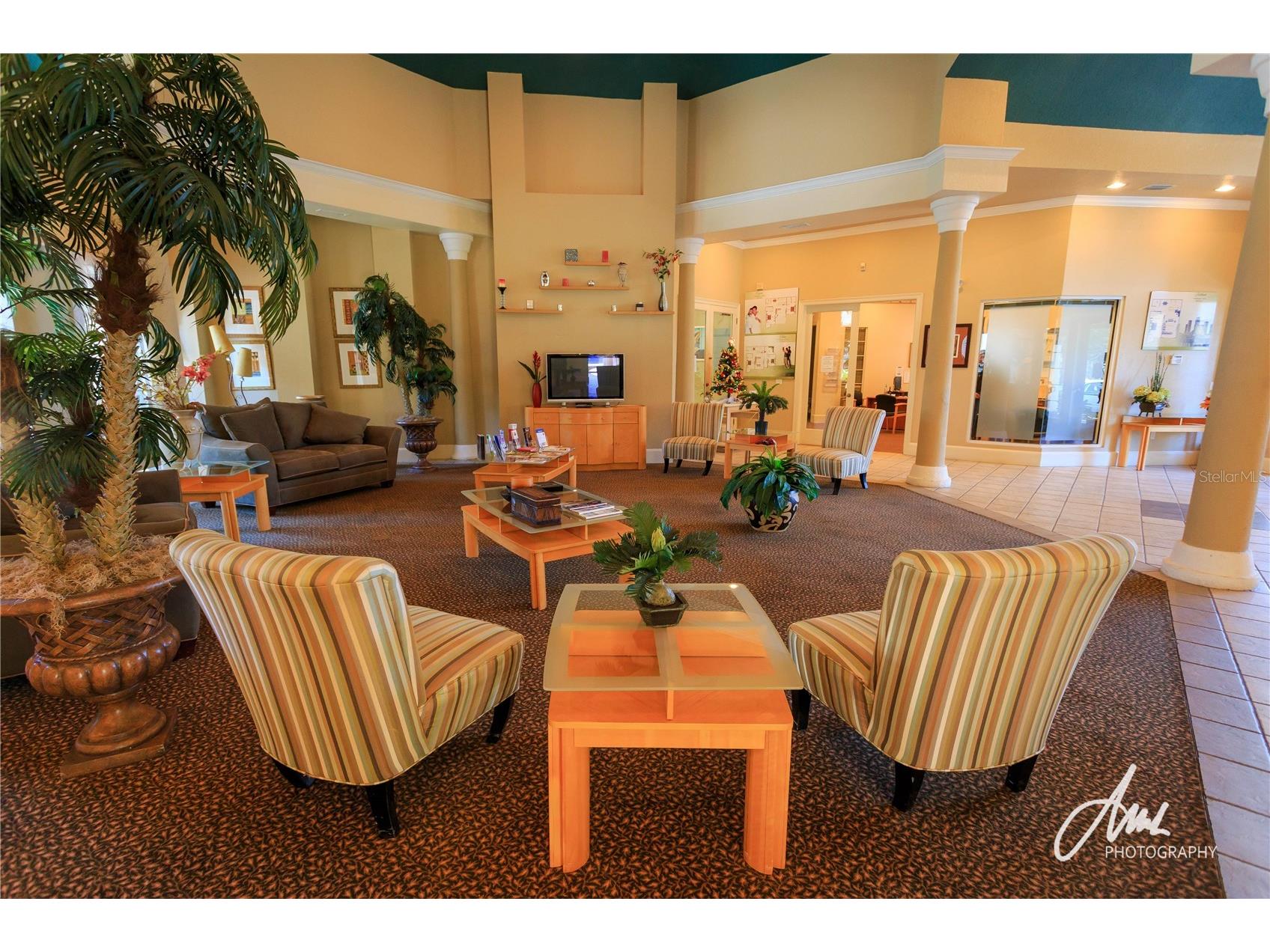 17114 Carrington Park Drive #201 Tampa FL 33647 TB8480522 image34