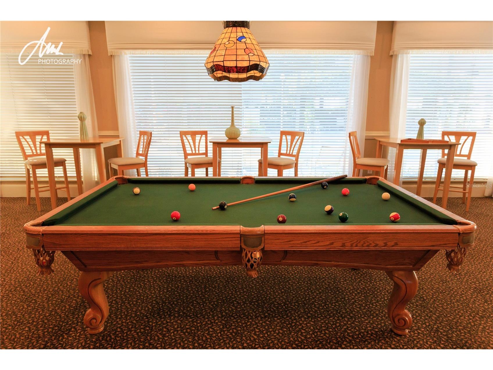 17114 Carrington Park Drive #201 Tampa FL 33647 TB8480522 image35