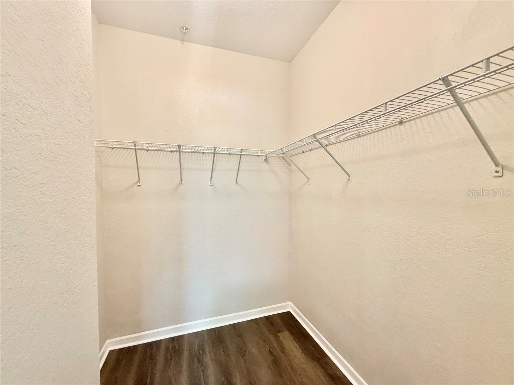 17114 Carrington Park Drive #207 Tampa FL 33647 TB8462530 image9