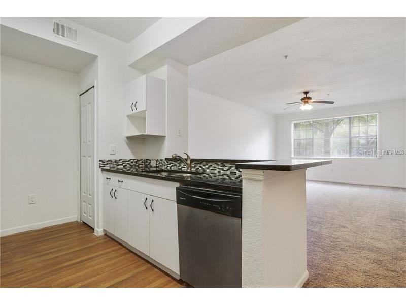 17114 Carrington Park Drive #213 Tampa FL 33647 TB8504022 image11