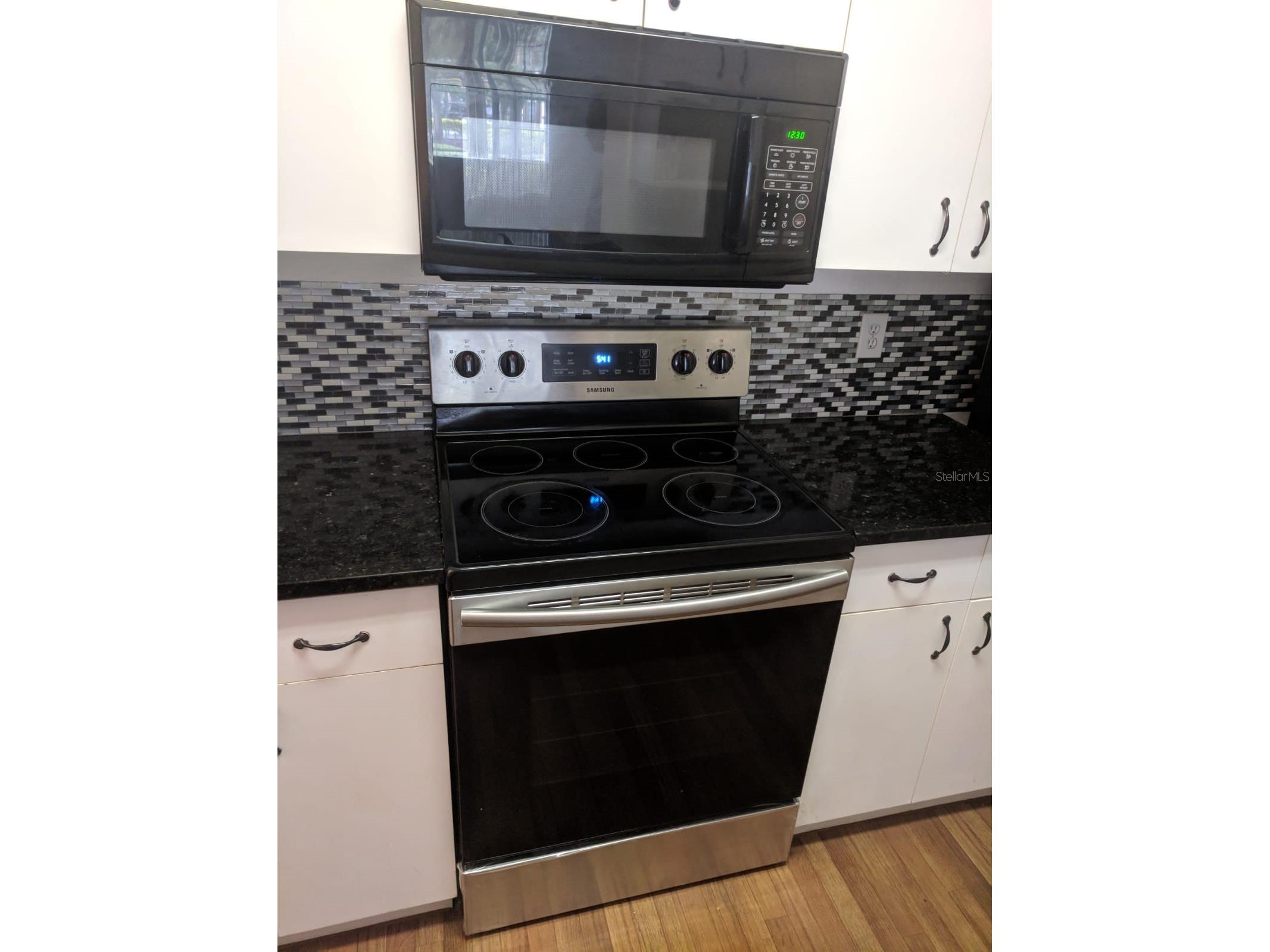 17114 Carrington Park Drive #213 Tampa FL 33647 TB8504022 image12