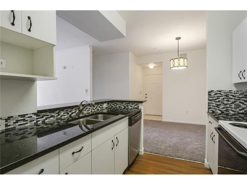 17114 Carrington Park Drive #213 Tampa FL 33647 TB8504022 image13