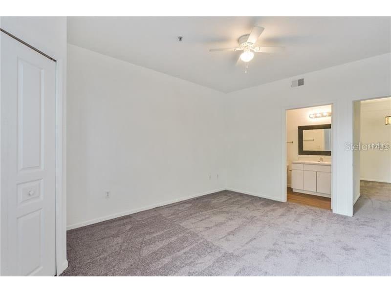 17114 Carrington Park Drive #213 Tampa FL 33647 TB8504022 image19