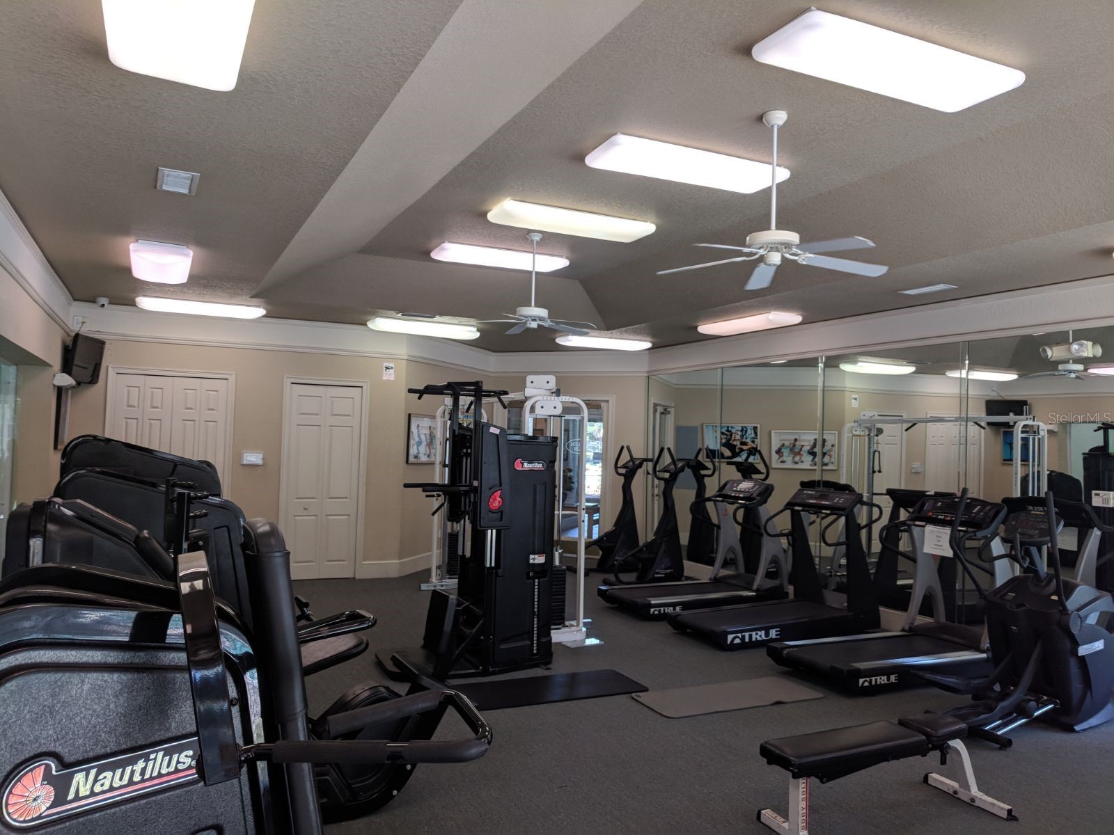 17114 Carrington Park Drive #213 Tampa FL 33647 TB8504022 image20
