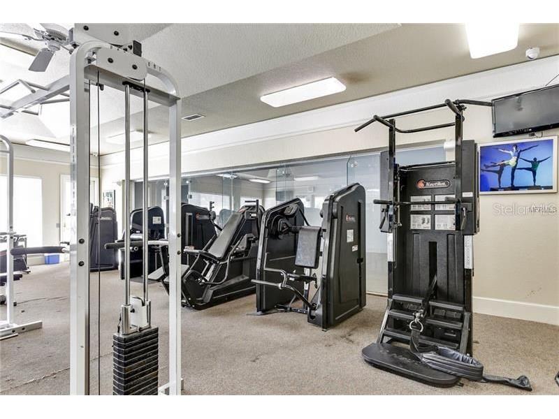 17114 Carrington Park Drive #213 Tampa FL 33647 TB8504022 image26