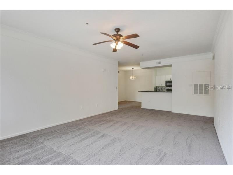 17114 Carrington Park Drive #213 Tampa FL 33647 TB8504022 image5