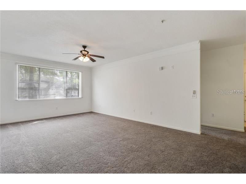 17114 Carrington Park Drive #213 Tampa FL 33647 TB8504022 image6