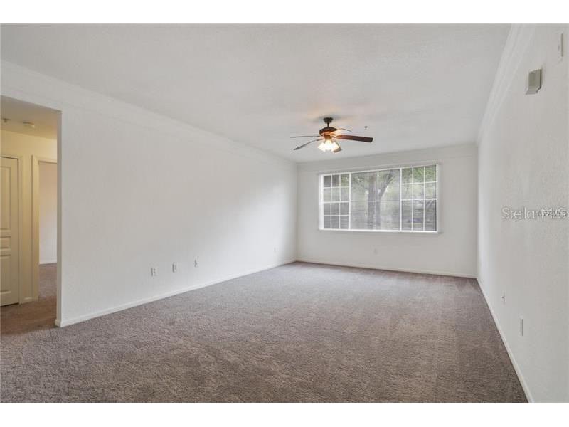 17114 Carrington Park Drive #213 Tampa FL 33647 TB8504022 image7