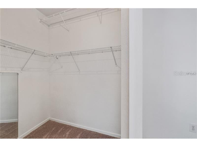 17114 Carrington Park Drive #213 Tampa FL 33647 TB8504022 image8