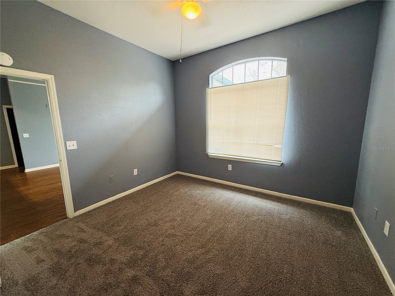 17114 Carrington Park Drive #219 Tampa FL 33647 TB8468374 image14