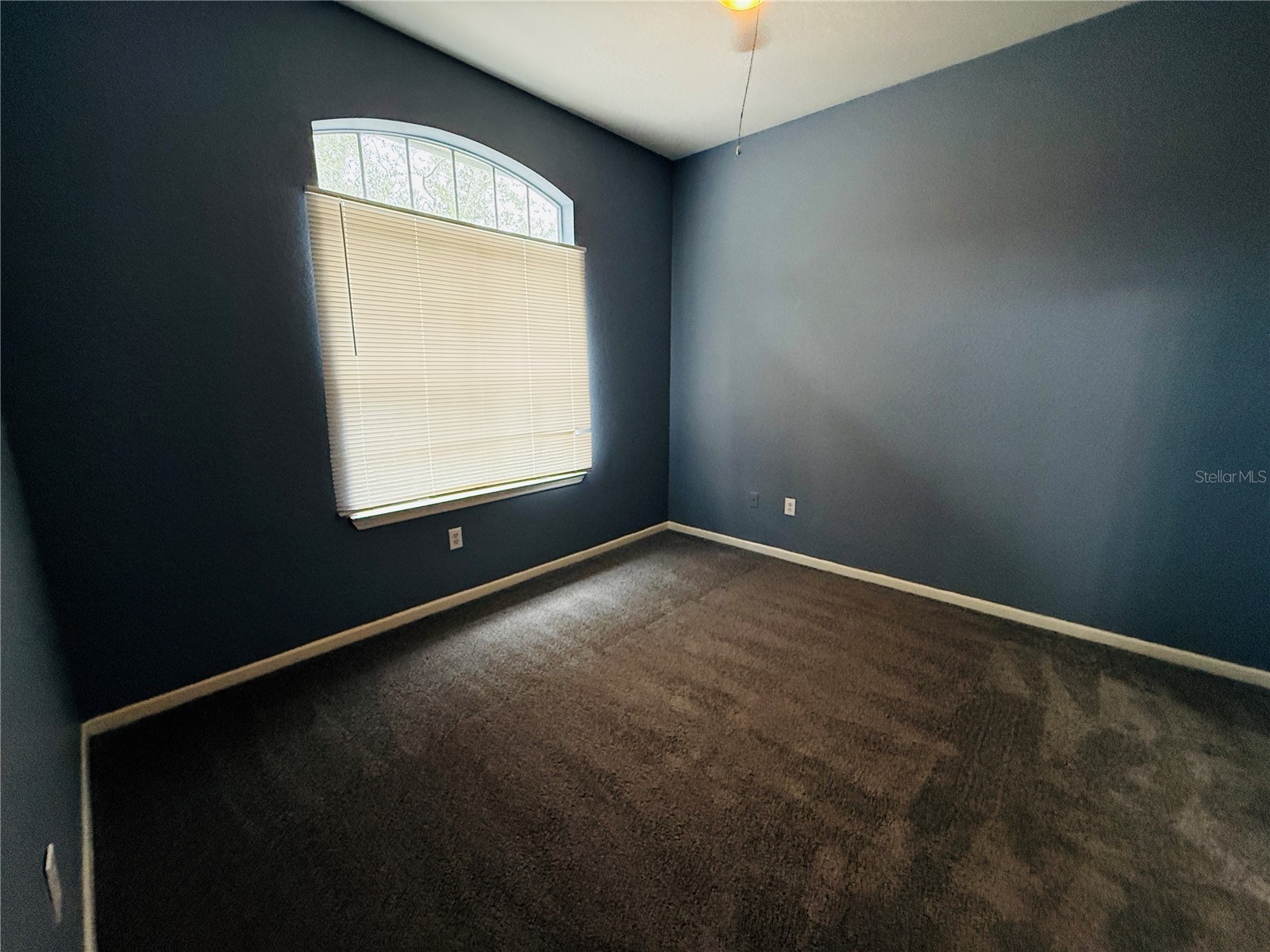 17114 Carrington Park Drive #219 Tampa FL 33647 TB8468374 image15