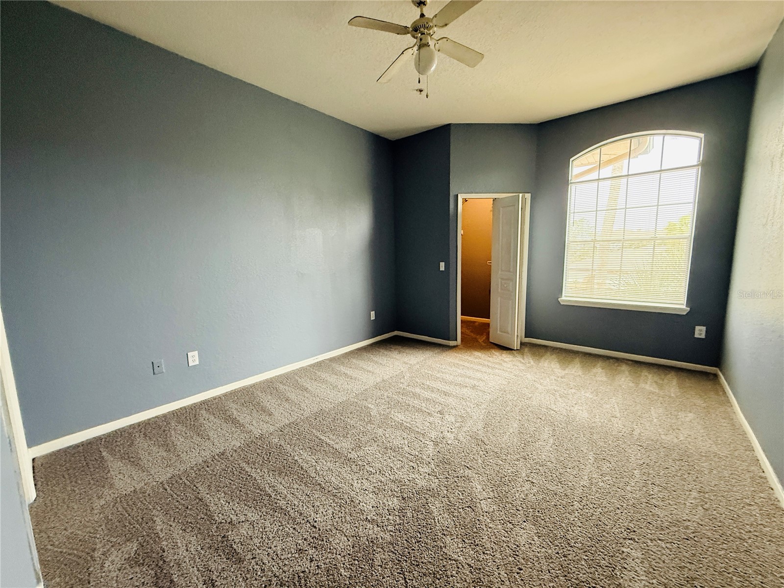 17114 Carrington Park Drive #219 Tampa FL 33647 TB8468374 image18