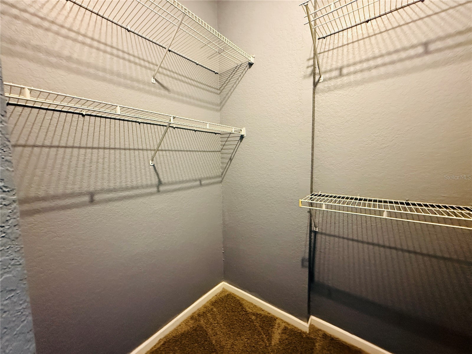 17114 Carrington Park Drive #219 Tampa FL 33647 TB8468374 image19