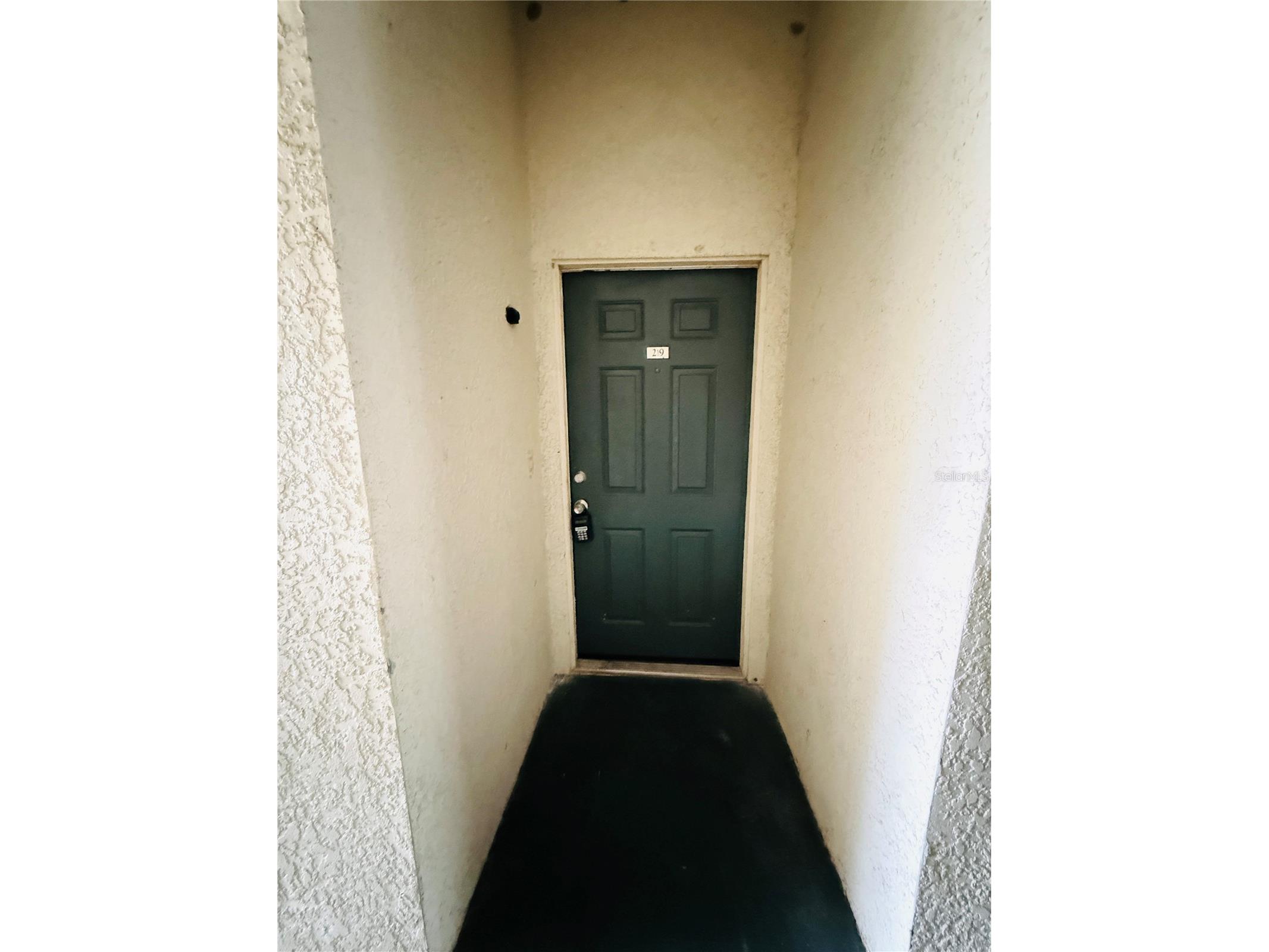 17114 Carrington Park Drive #219 Tampa FL 33647 TB8468374 image2
