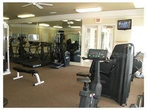 17114 Carrington Park Drive #219 Tampa FL 33647 TB8468374 image23