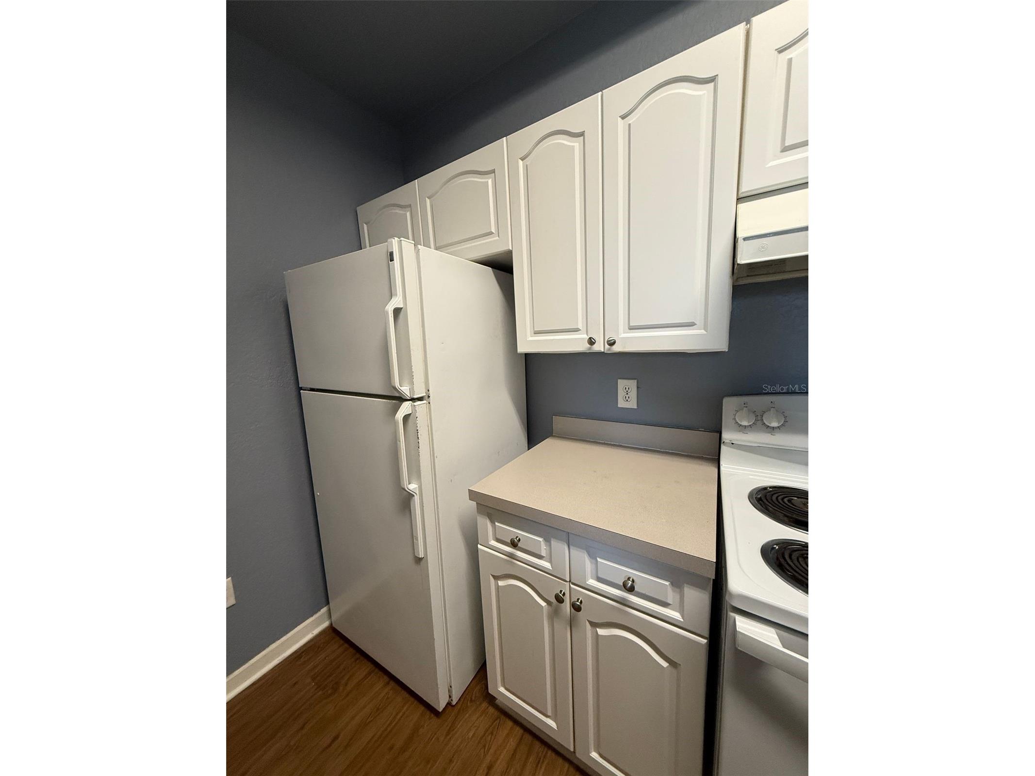 17114 Carrington Park Drive #219 Tampa FL 33647 TB8468374 image7