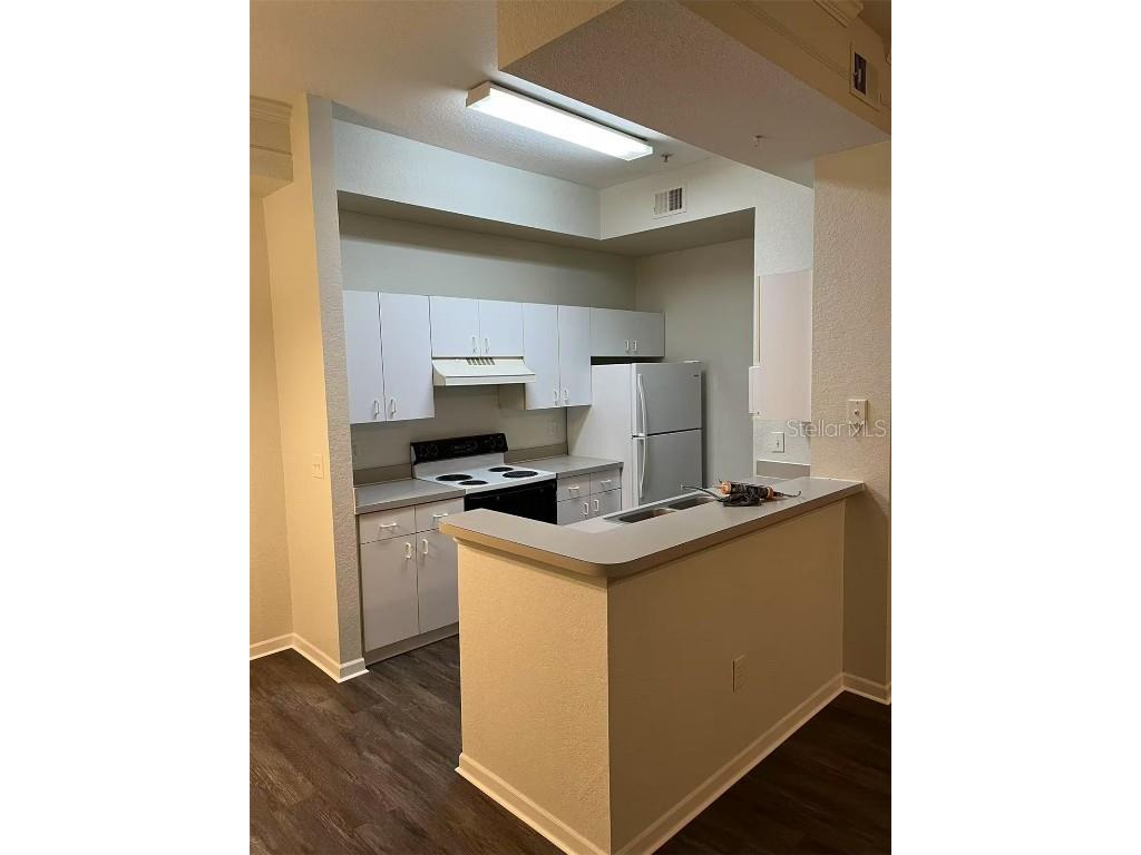 17114 Carrington Park Drive #220 Tampa FL 33647 A4648504 image2