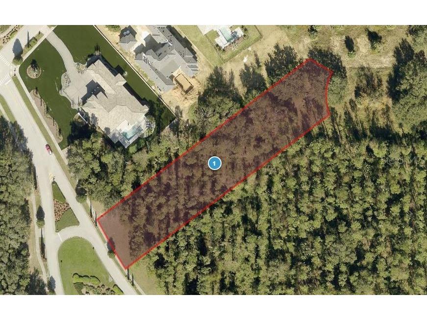 17114 Medici Way FL 34756 J984109 image1