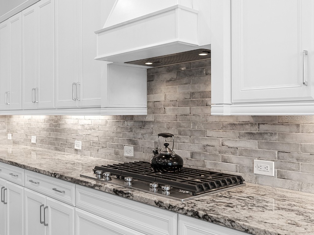 17114 Verona Place Lakewood Ranch FL 34202 A4649045 image18