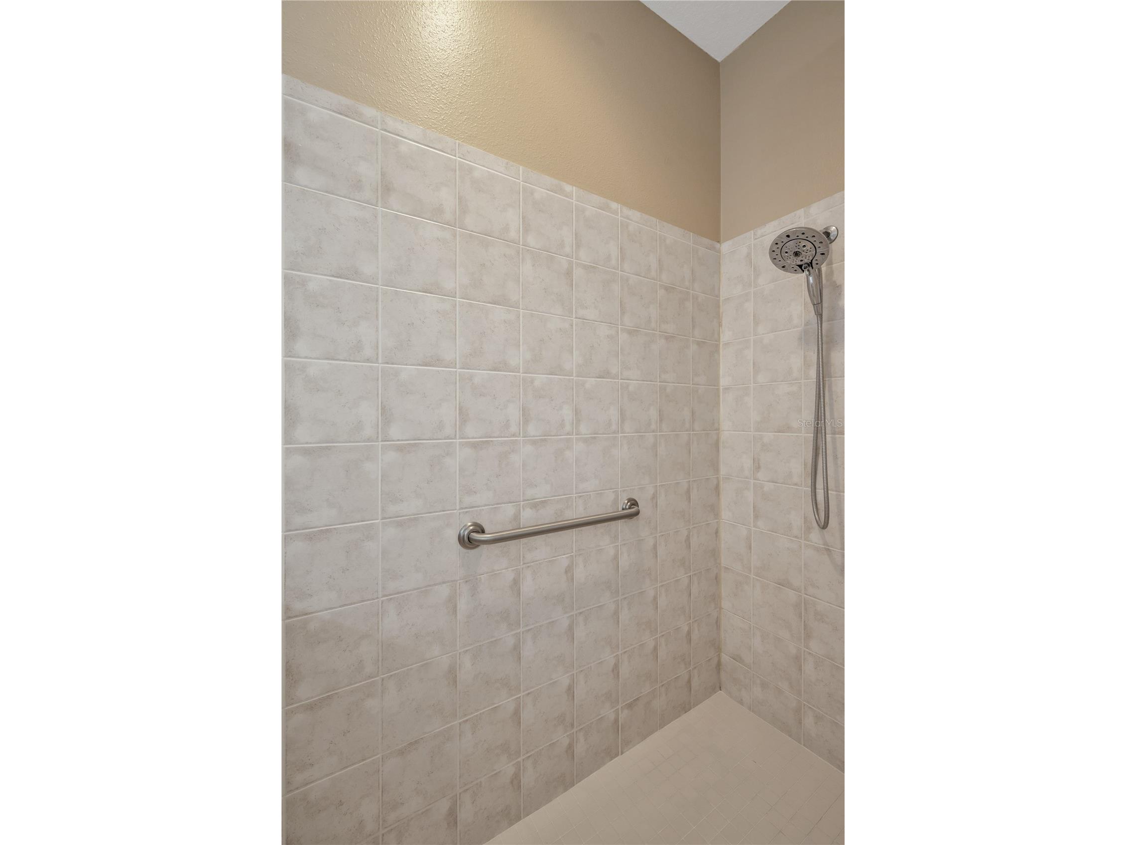 17115 Falconridge Road Lithia FL 33547 TB8469276 image13