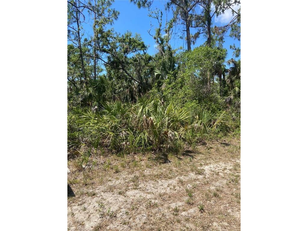 17115 Hemlock Ave Port Charlotte FL 33948 C7489548 image7