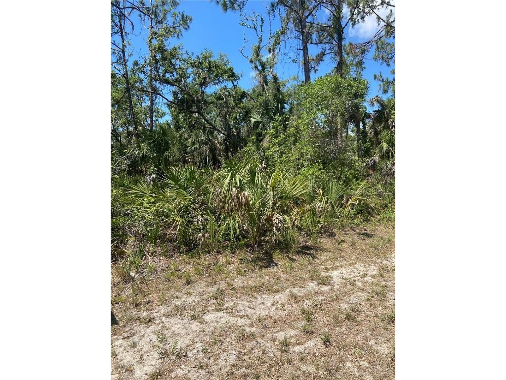 17115 Hemlock Ave Port Charlotte FL 33948 C7489548 image8