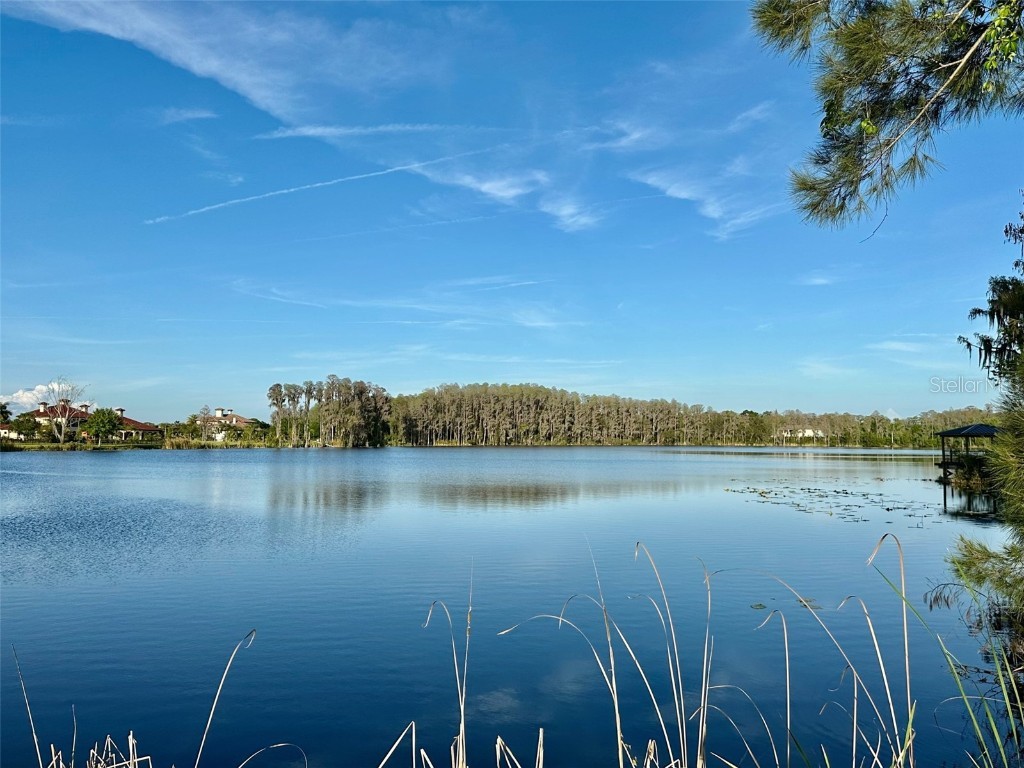 17117 Breeders Cup Drive Odessa FL 33556 T3436127 image1