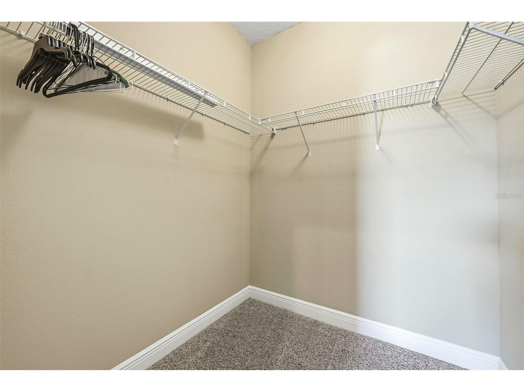 17117 Cypress Preserve Parkway Orlando FL 32820 S5141602 image49