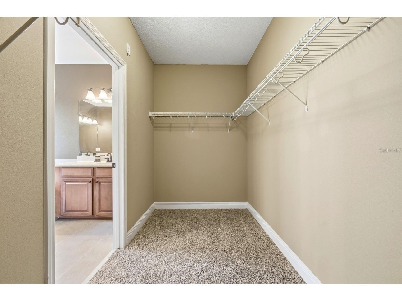 17117 Cypress Preserve Parkway Orlando FL 32820 S5141602 image59