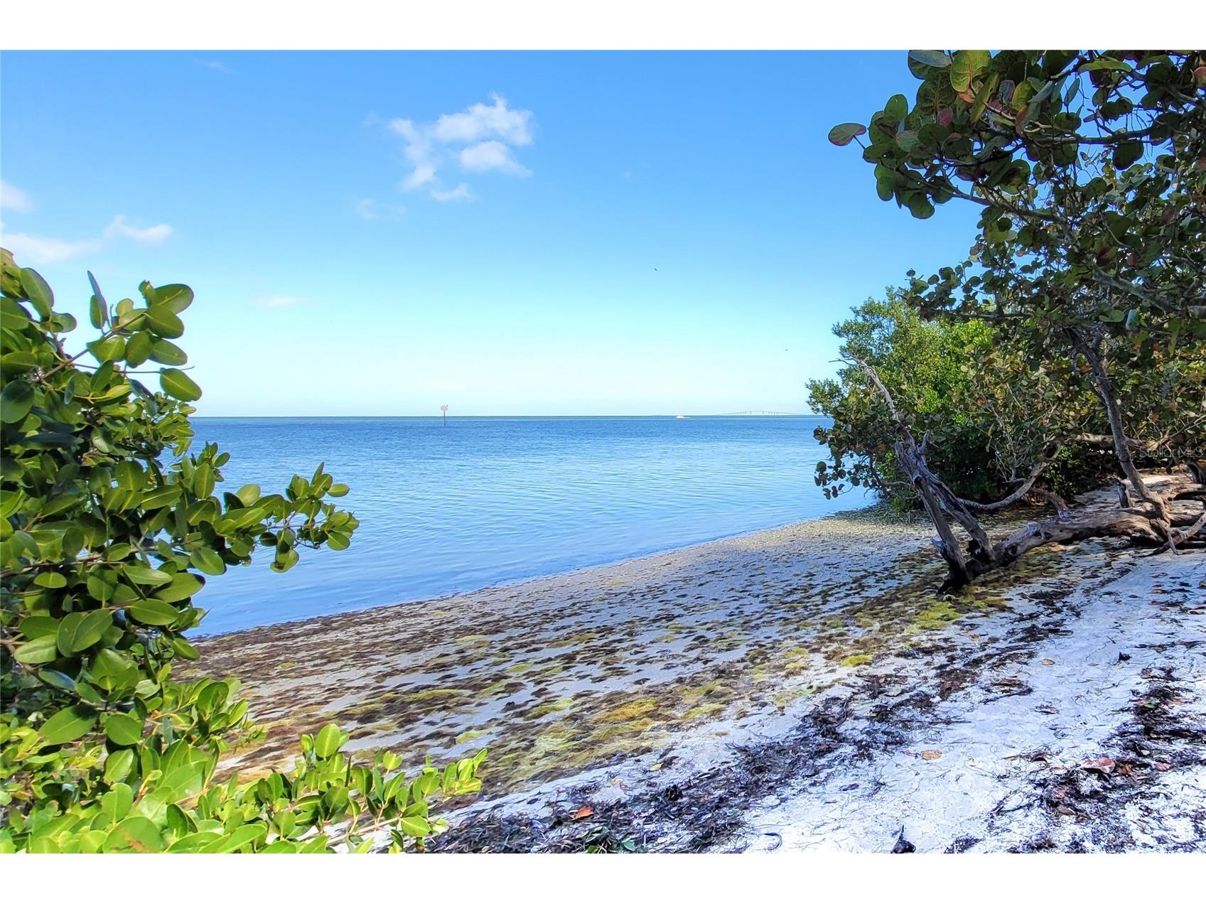 1712 4th Street W Palmetto FL 34221 A4700141 image97