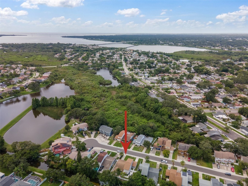 1712 Azalea Court #A Oldsmar FL 34677 TB8401279 image26